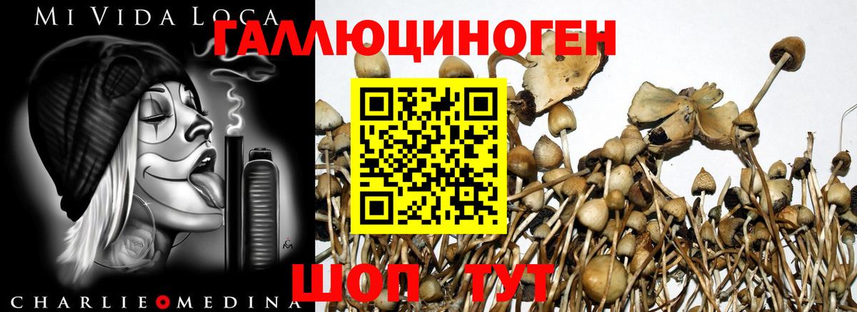 Галлюциногенные грибы MAGIC MUSHROOMS Нижнеудинск