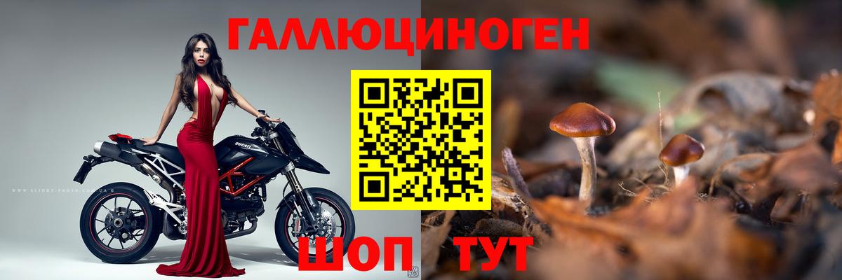 Галлюциногенные грибы мухоморы  Вход с VPN  Нижнеудинск 